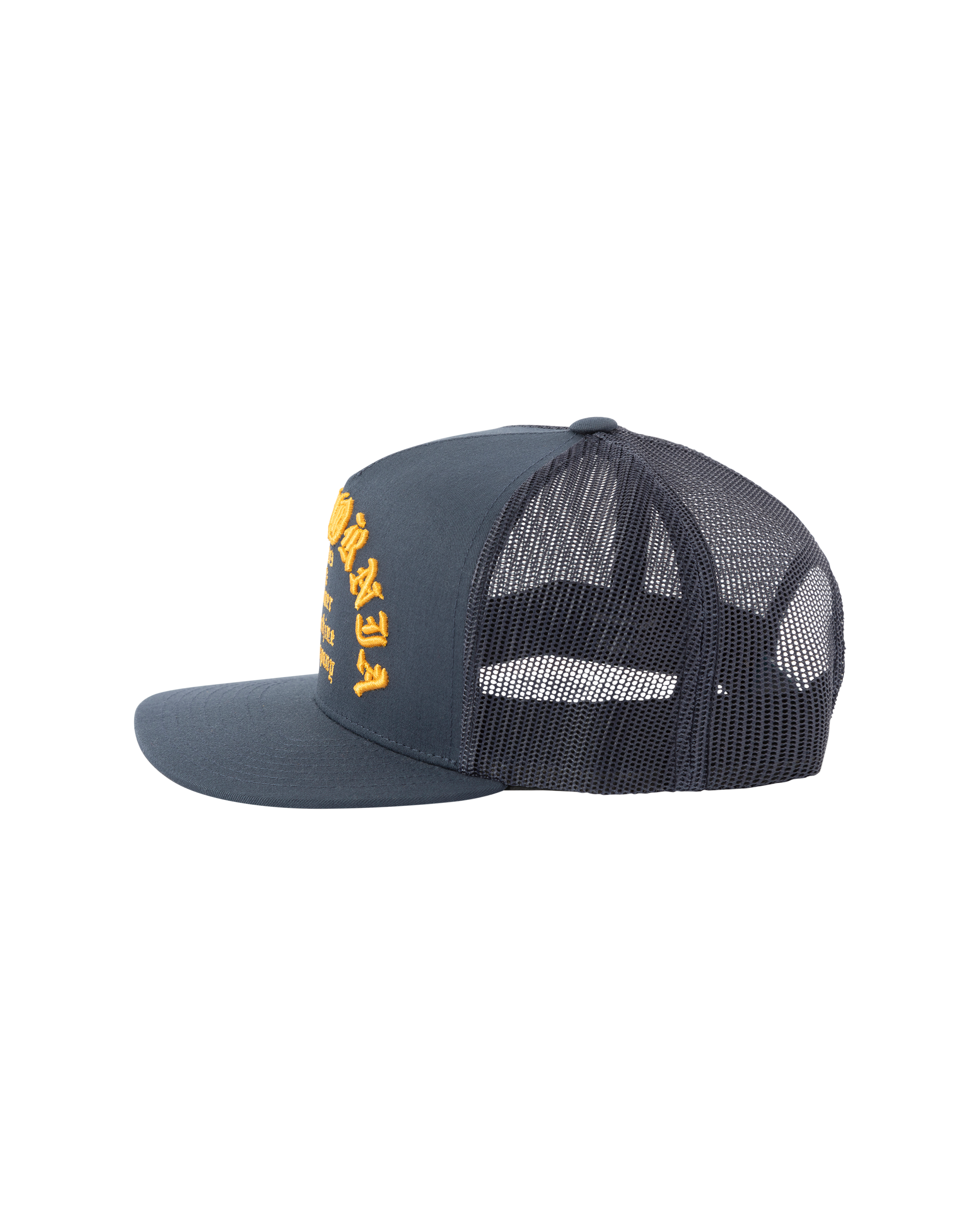 loser machine fanatic hat navy (zoomed)