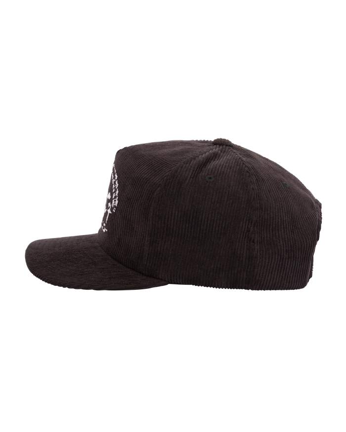 FENCES HAT - alternate view