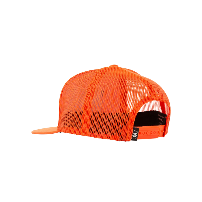 color: ORANGE - alternate view